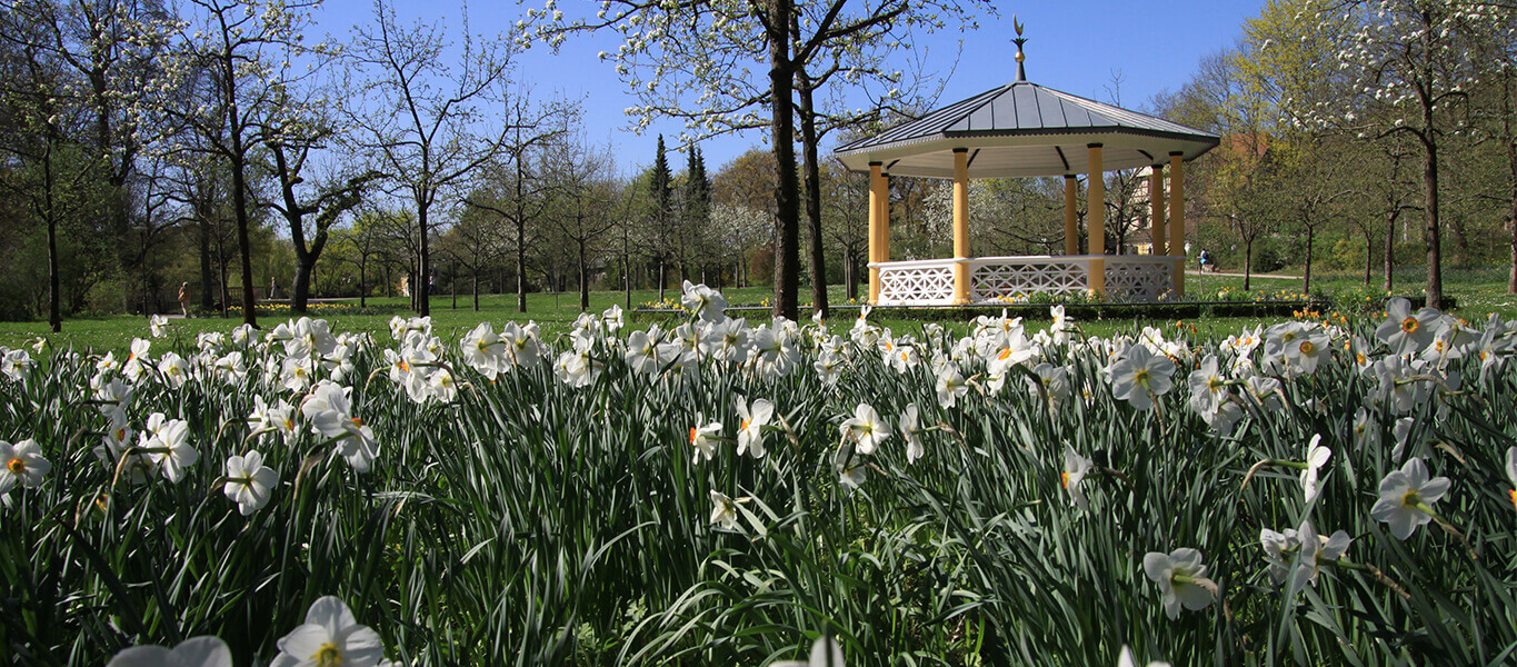 Blumenwiese vor dem Mondhäuschen im Schlosspark in Bad Mergentheim.